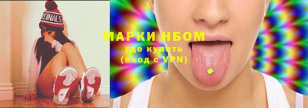 индика Нея