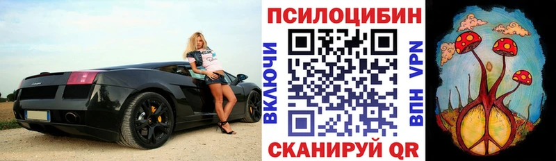мега вход  сайты даркнета состав  Галлюциногенные грибы мухоморы  Обнинск 