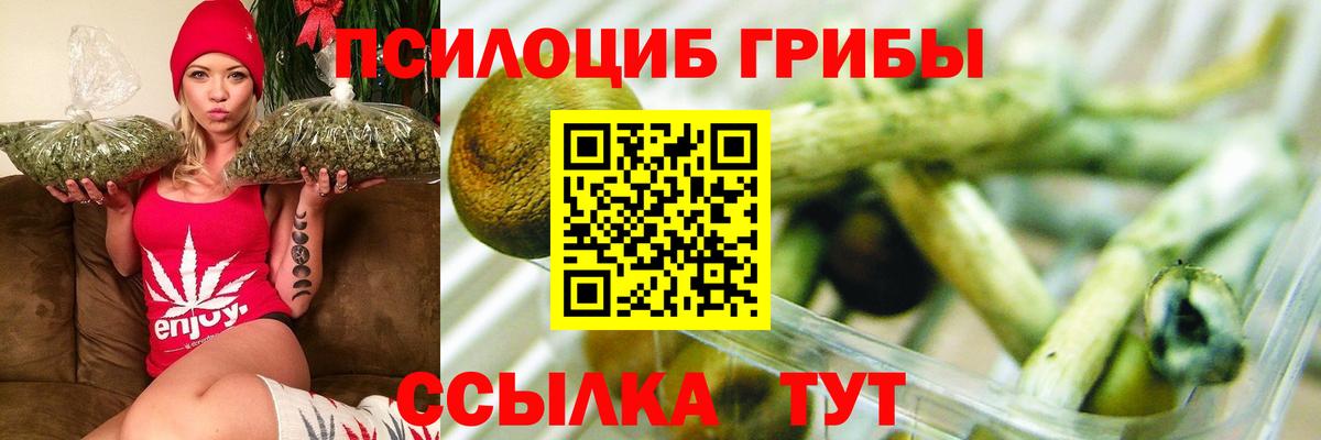Псилоцибиновые грибы MAGIC MUSHROOMS Обнинск