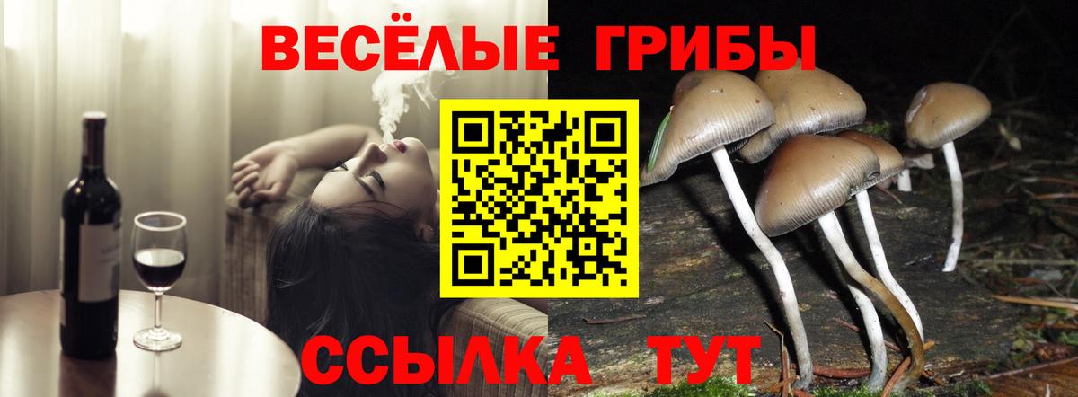 Псилоцибиновые грибы мицелий  Вход с VPN  Обнинск 